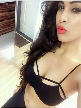 Udaipur escort